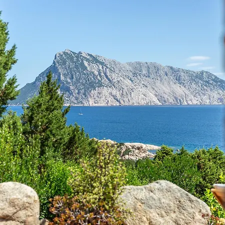 Belocations - Rubia * 몬테 페트로수