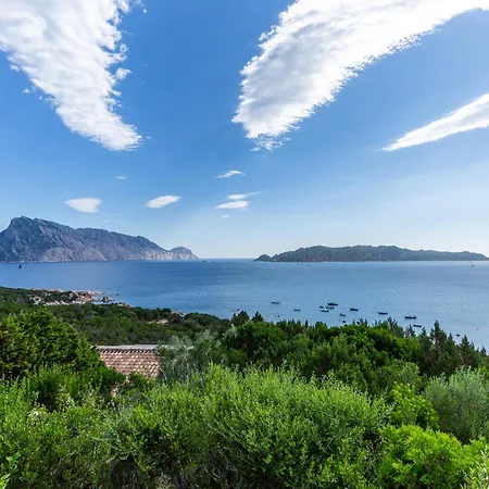 Belocations - Rubia 몬테 페트로수