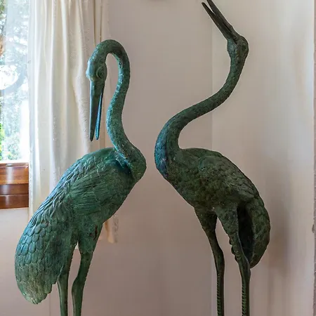 Belocations - Rubia *