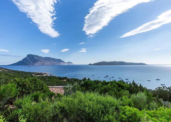 Belocations - Rubia 蒙特佩特罗素