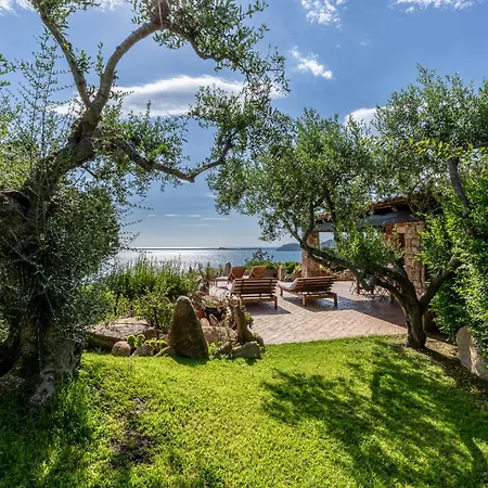 Belocations - Rubia *