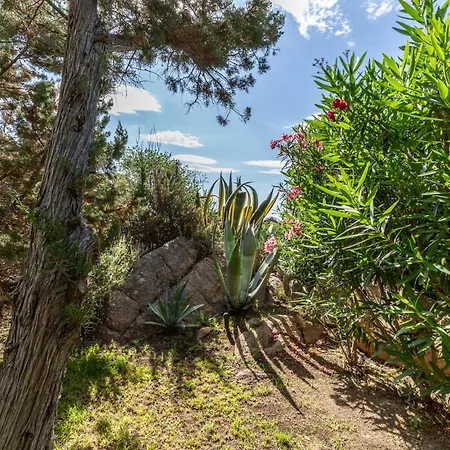 Villa Belocations - Rubia