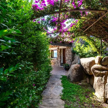 Belocations - Rubia *