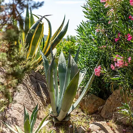 Belocations - Rubia Villa