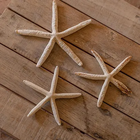 Belocations - Rubia * Monte Petrosu